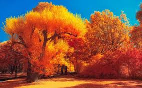 For news, please see @naturenews. The Colors Of Autumn Part Iv By Myinqi On Deviantart Autumn Scenery Fall Colors Nature Photography