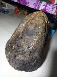 Jenis jenis transistor beserta gambarnya. Membeli Ambergris Mutiara Kerang Raksasa Berabad Abad Facebook