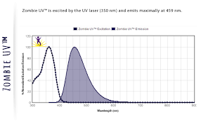 Live Cell Dead Cell Discrimination