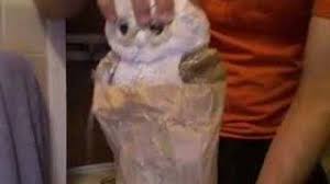 Cuteanimals january 3, 2017 cute no comments. Baby Owl Takes A Bath Youtube