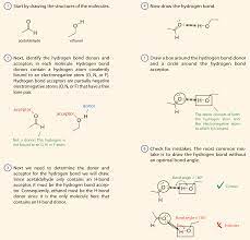 5. Drawing Hydrogen Bonds - Labxchange