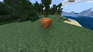 Check spelling or type a new query. 1 17 Update Concept Minecraft Pe Mods Addons