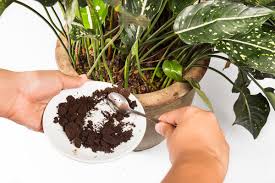 Image result for coffee uses