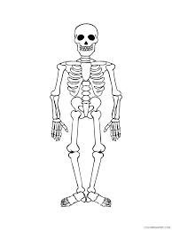 Guide them through the different parts of a skeleton. Skeleton Coloring Pages For Kids Skeleton 15 Printable 2021 611 Coloring4free Coloring4free Com