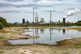 niedrigwasser am rhein