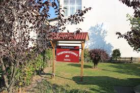 Vladislav petković dis lyrics with translations: Vladislav PetkoviÑ› Dis VikipediÑ˜a