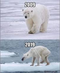 Sbc Scientific On Instagram Polarbear Globalwarming Save Our Earth What Is Climate Save Planet Earth