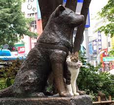 In 1924 he was brought to tokyo by his owner, eisaburo ueno, a during his owner's life, hachiko saw him off from the front door and greeted him at the end of the day at the. Shibuya S Hachiko Has A New Feline Pal And They Look Absolutely Adorable Together Soranews24 Japan News