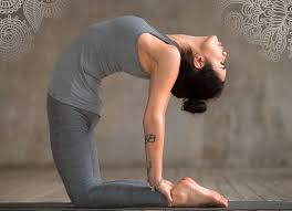 10 animal yoga poses for love (attract a mate!) : Animal Inspired Yoga Poses Yogi Tea