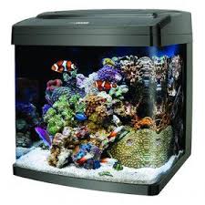 Coralife Biocube 14 Gal Aquarium Walmart Com Saltwater Aquarium Beginner Aquarium Fish Aquarium Systems