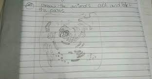 Maybe you would like to learn more about one of these? Receptor Mediated Endocytosis Biology Questions