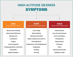Image result for High Altitude Edema