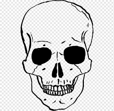 Gambar tengkorak keren 3d pada kesempatan kali ini saya masih bisa mengupload kembali gambar tengkorak keren 3 dimensijangan lupa dukung. White Skull And Crossbones Icon Skull And Bones Skull And Crossbones Skull And Crossbones Skull Artwork Sodipodi Png Pngwing