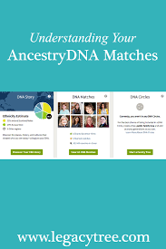 Discover your ancestry composition and where in the world your dna is from across 2000+ regions. Understanding Your Ancestrydna Matches Legacy Tree