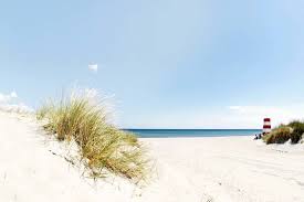 Orø strandcamping er afslapning og overnatning lige ved stranden. Camping In Danemark Freiheit Erleben Caravaning