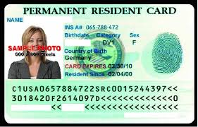 Green card category code describes the category under which a person would be issued green card or lawful permanent resident(lpr) card. Https Www Lsu Edu Administration Ofa Oas Pay Pdfs Nonresidentalieniprocessing Pdf