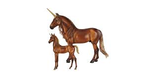 Image result for Thesium breyeri