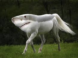 The 7 Creepiest Horse Animal Hybrids Photoshopped Animals Weird Animals Horses