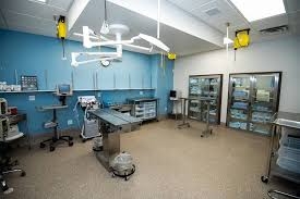 2107 penn avenue south minneapolis, minnesota, 55405. Mission Animal Hospital 10100 Viking Dr 150 Eden Prairie Mn 55344 Usa