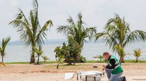 Former world bank chief economist joseph stiglitz said the pandemic has shown how poorly the those bonds, issued by the world bank's international bank for reconstruction and development in. The World Bank Plane Site