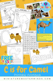 Others give birth to very immature embryo type babies which then certain species of skinks give birth to live babies while others lay eggs. Pin On Printables For Kids