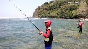 Alat pancing huhate alat pancing terbaik artikel umpan pelet ikan mas asal fly fishing campuran umpan ikan mas atang campuran umpan ikan mas bondon cara bela ikan. Ini 8 Tips Dan Cara Mancing Pada Saat Puasa Hewanpedia