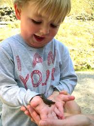 La herpetofauna de Zamora: EL FUTURO ESTÁ EN SUS MANOS