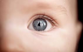 El Color De Ojos Del Bebe Bebe Babysitio