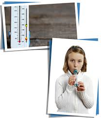 Maybe you would like to learn more about one of these? Peak Flow Und Asthma Tagebuch Asthma Lern Land