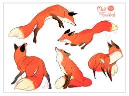 Cartoon fox · art projects for kids. Madi Hodges Wondercon B11 On Twitter Animal Drawings Fox Art Fox Drawing