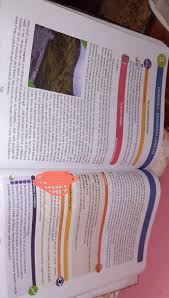 Tipuri de contract individual de munca clauze obligatorii: Va Rog Va Implor Ajutor CautÄ In Text Cate Patru Cuvinte Pentru Fiecare Camp Semantic Indicat Campul Brainly Ro