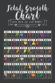 Fetal Growth Chart How Big Is My Baby Fetal Growth Chart