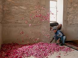 Image result for Pink 1964 Amana