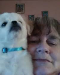 Monica Rose (Jordan) Cogar Obituary May 18, 2025