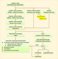 Contoh observasi partisipasi adalah ketika meneliti adat/tradisi pada kelompok masyarakat tertentu. Pengumpulan Maklumat Penilaian Pesakit Diperingkat Awal Health Care Service Delivery