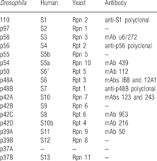 Human And Yeast Homologues Of The Drosophila Regulatory