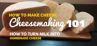 8 Facts About Cheese Makers