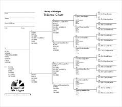 10 Pedigree Chart Templates Pdf Doc Excel Free