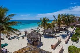 Island Seas Resort Grand Bahama Caribbean Castaway Club Deals Bahamas Vacation Palm Resort Sea Resort