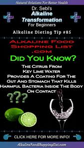 Contact Support Lime Water Detox Lime Water Benefits Detox Benefits