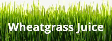 Wheatgrass Juice Vegus Juices