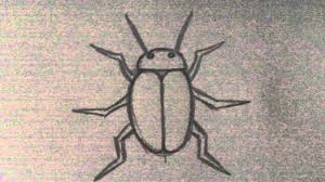 Drawing A Beetle Tattoo Art Idea Youtube A legendary figure somewhere between the dung heap and the stars. drawing a beetle tattoo art idea youtube