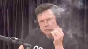 Before his appearance on the show, musk tweeted: Elon Musk Cryptocurrency Is Promising But Please Invest With Caution