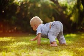 How do you teach a baby to crawl? Learning To Crawl Babyinfo