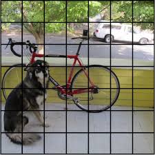 Image result for yolo object detection