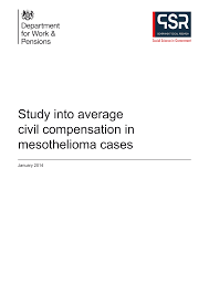 mesothelioma patients aren&#x27;t the only ones who may be eligible to receive compensation for their illness. Https Assets Publishing Service Gov Uk Government Uploads System Uploads Attachment Data File 269880 Research Report 858 Pdf