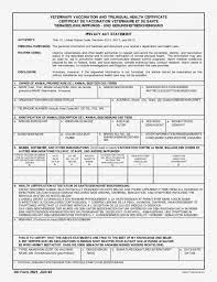 Pin On Certificate Templates