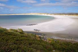 Islas malvinas vs team quantum london eye ( uk ) hora de inicio16 jul. La Titanica Y Delicada Tarea De Desminar Las Malvinas Falklands Y Por Que Los Pinguinos De Las Islas No Las Activan Cuando Las Pisan Bbc News Mundo