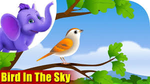 Birds Flying High Lyrics Karaoke Bird In The Sky Nature Song For Kids 4k Appu Series Youtube