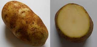 Pour your broth over everything. Products And Poems Are Green Potatoes Harmful